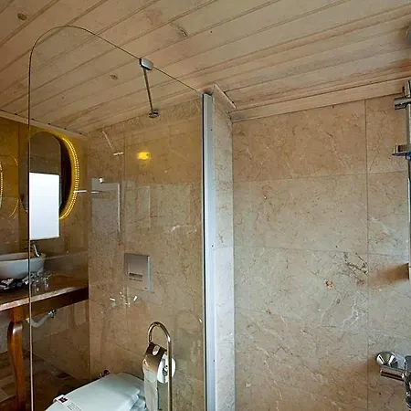 Montana Hotel 3*