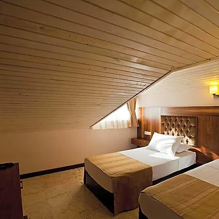 Montana 3*