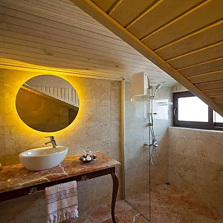 Montana Hotel 3*